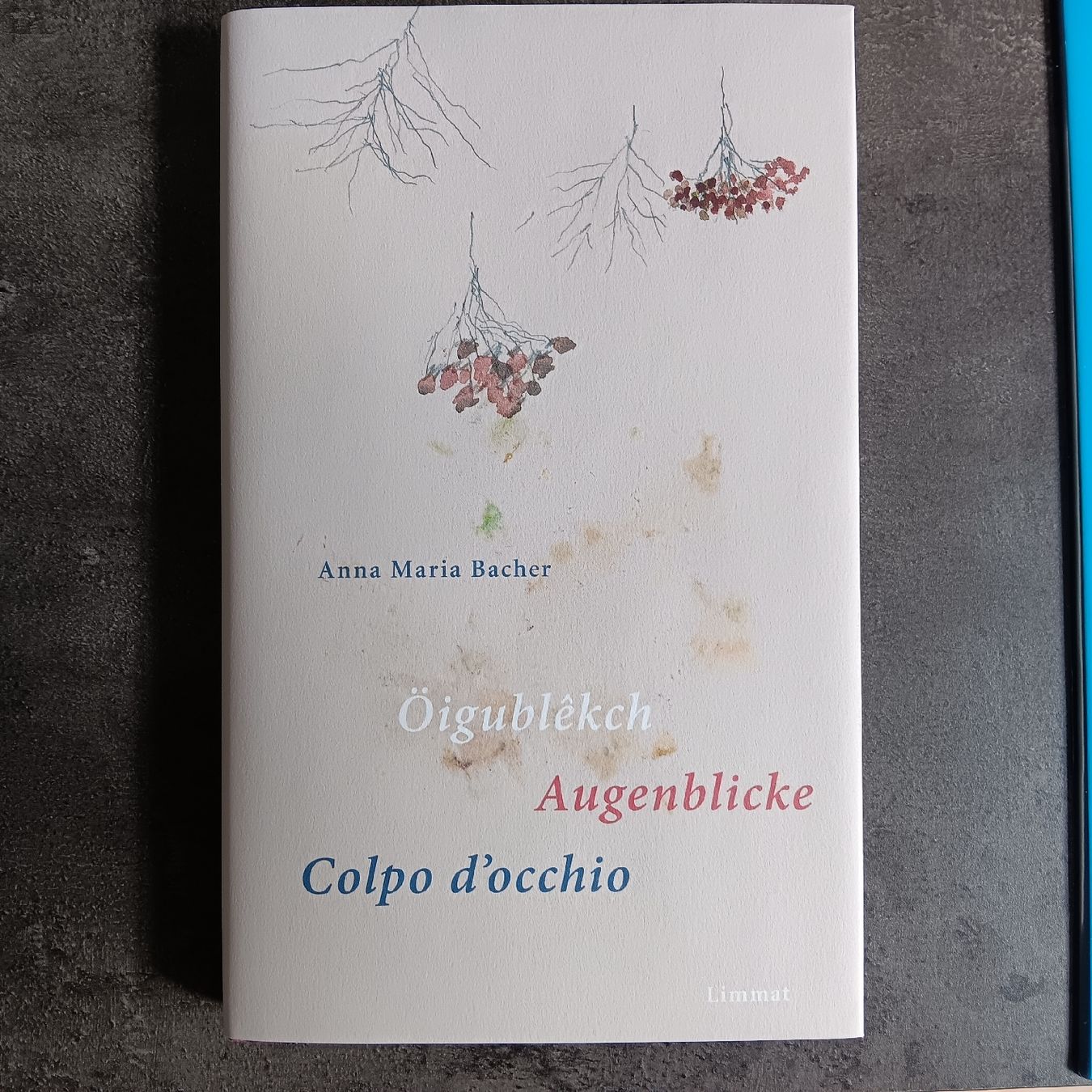Libri: Anna Maria Bacher Öigublekch Gedichte – Nuovo (secondo la descrizione) da Chur venduto da chr_b2cn