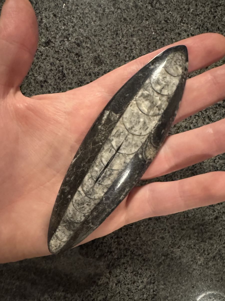 Minerali & Pietre curative: Fossilien- und Mineraliensammlung – Usato da Wittenbach venduto da RRoman 4