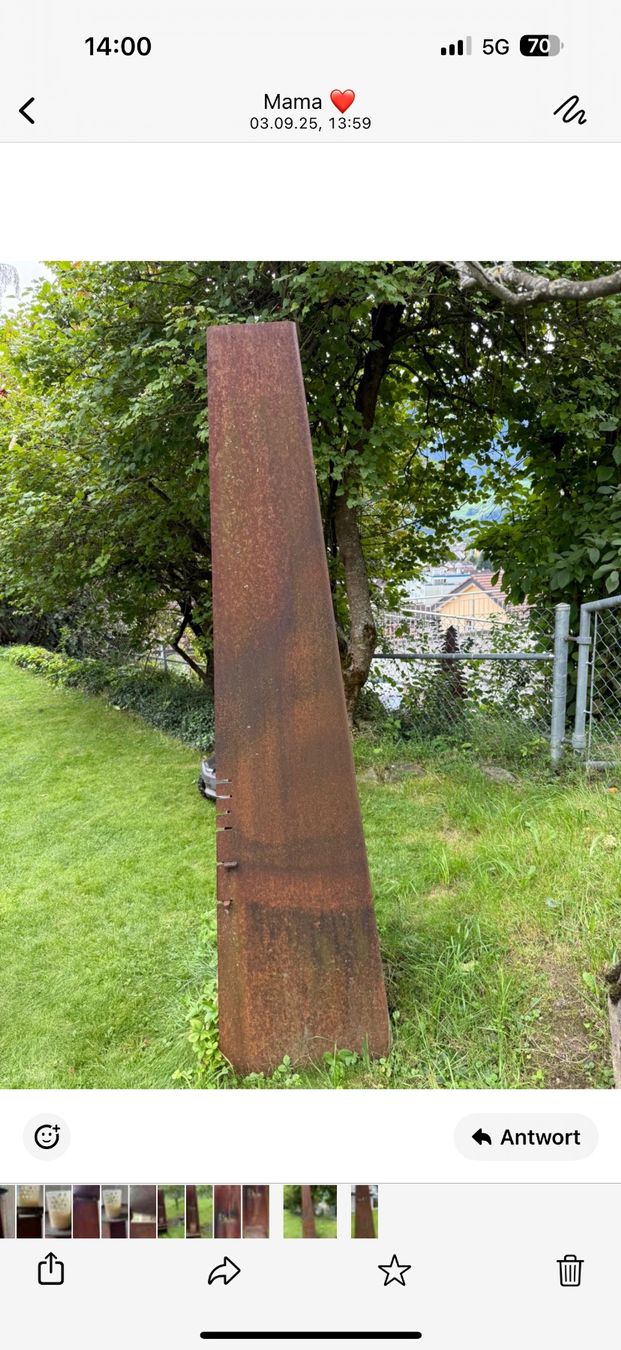 Griglie: Gartenfeuerstelle – Usato da Sargans venduto da Nikelmaker 4