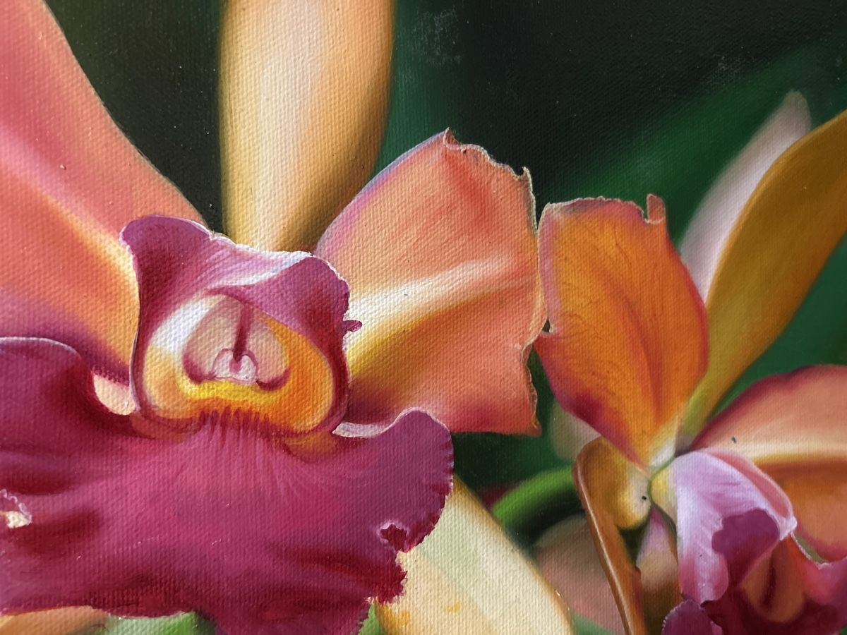 Dipinti: Wunderschönes Orchideen Gemälde, Blumenbild, signiert – Usato da Glarus venduto da KunstWerkEr-LS87 1