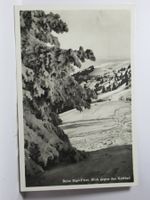 Beim Rigi - First , Blick gegen das Kaltbad  1935