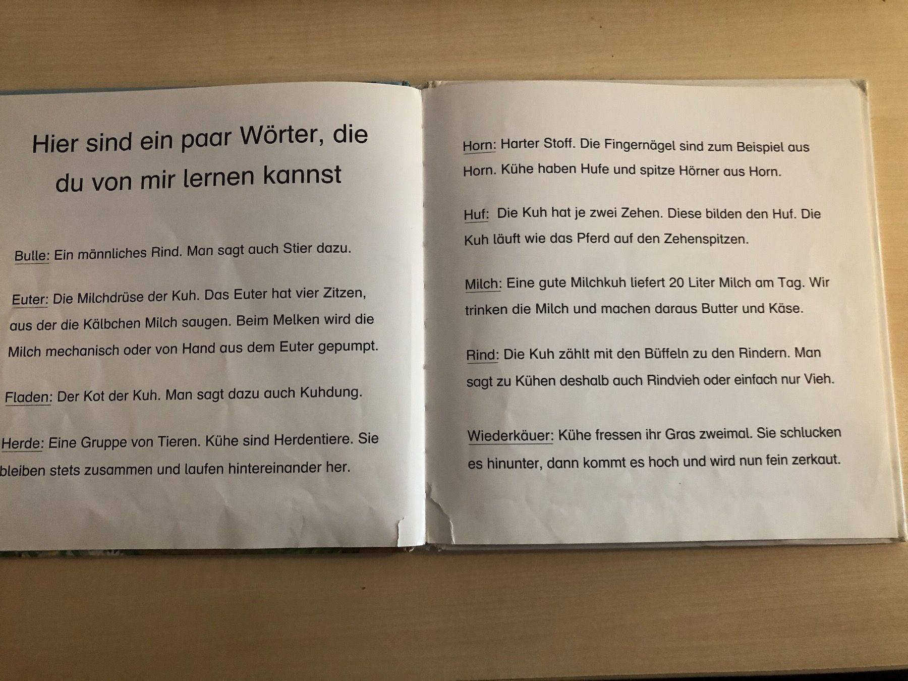 Libri: Wer bin ich? Kinderbuch über die Kuh – Usato da Aarau venduto da R-O-G-E-R 7