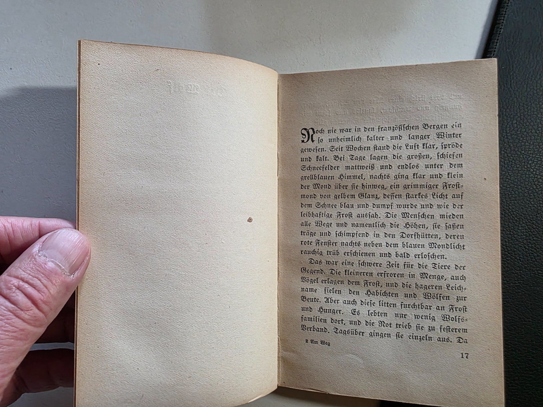 Libri: Hermann Hesse - Am Weg - 1916 – Usato da Walterswil BE venduto da Lonitti 2