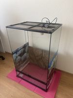 Terrarium 