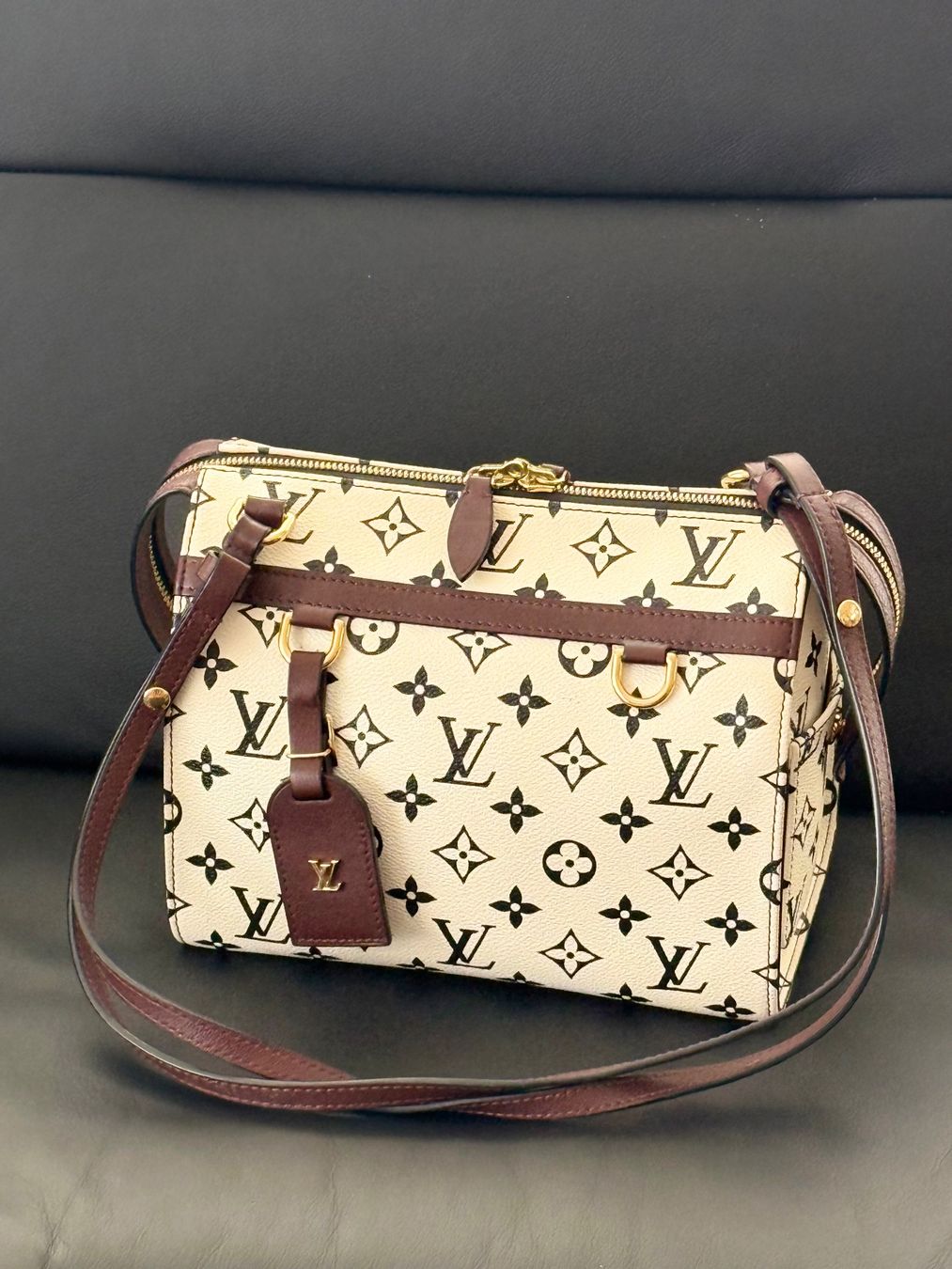 Louis Vuitton Borse da donna: Louis Vuitton Speedy Amazon PM – Usato da Reinach AG venduto da RobbisB 2