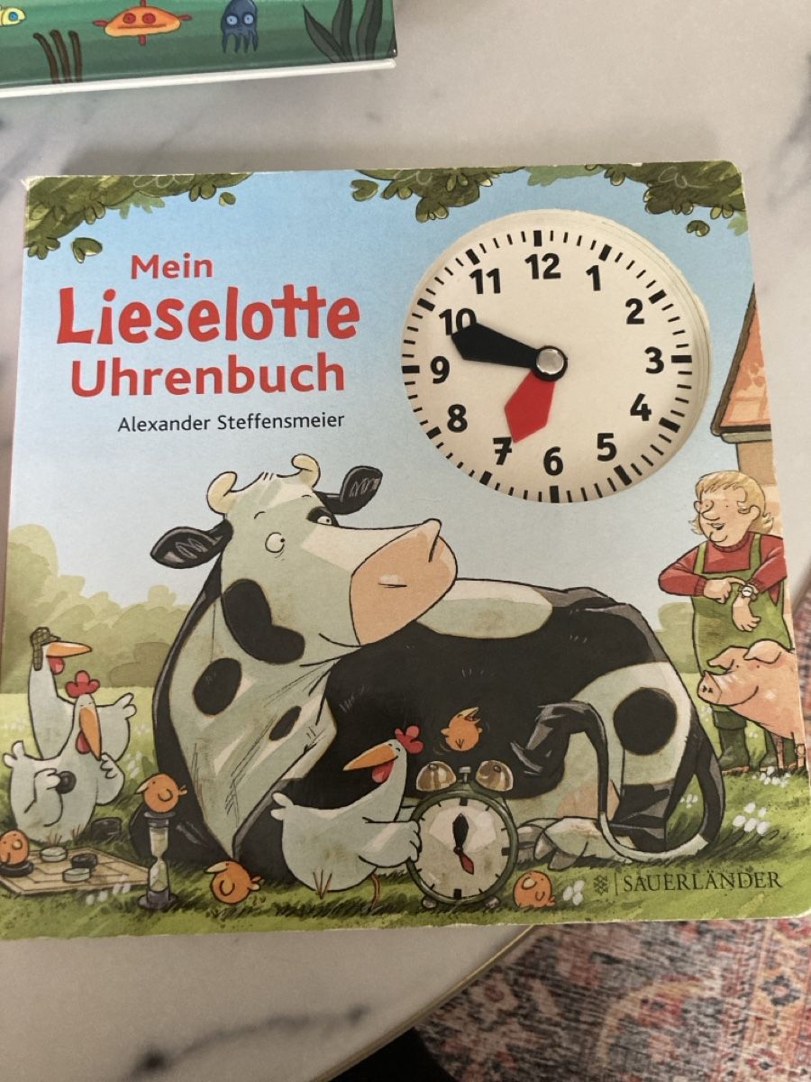 Libri: Lernbuch – Usato da Selzach venduto da SB09