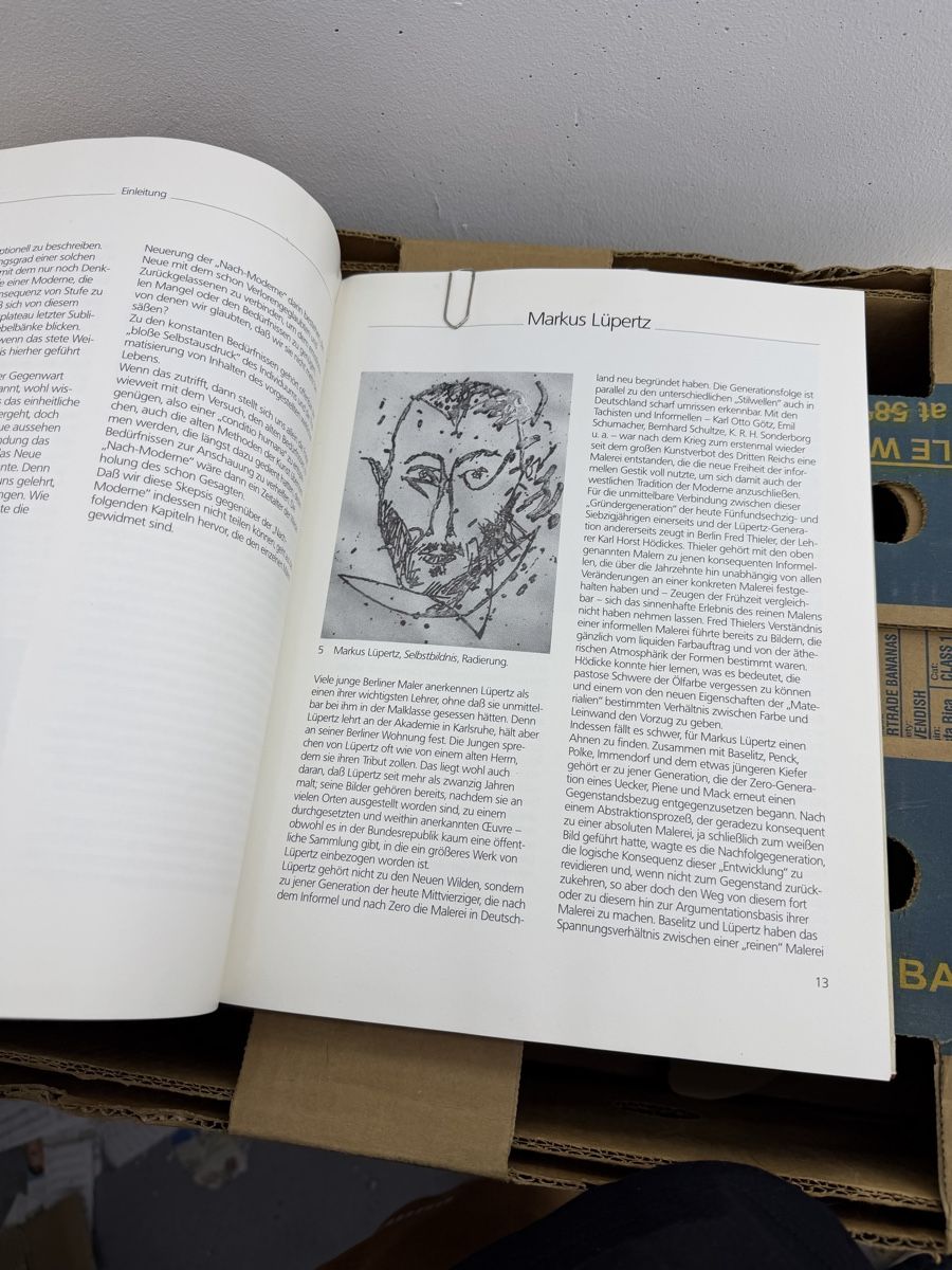 Libri: Die neuen wilden in Berlin – Usato da Wettingen venduto da NickInc 8