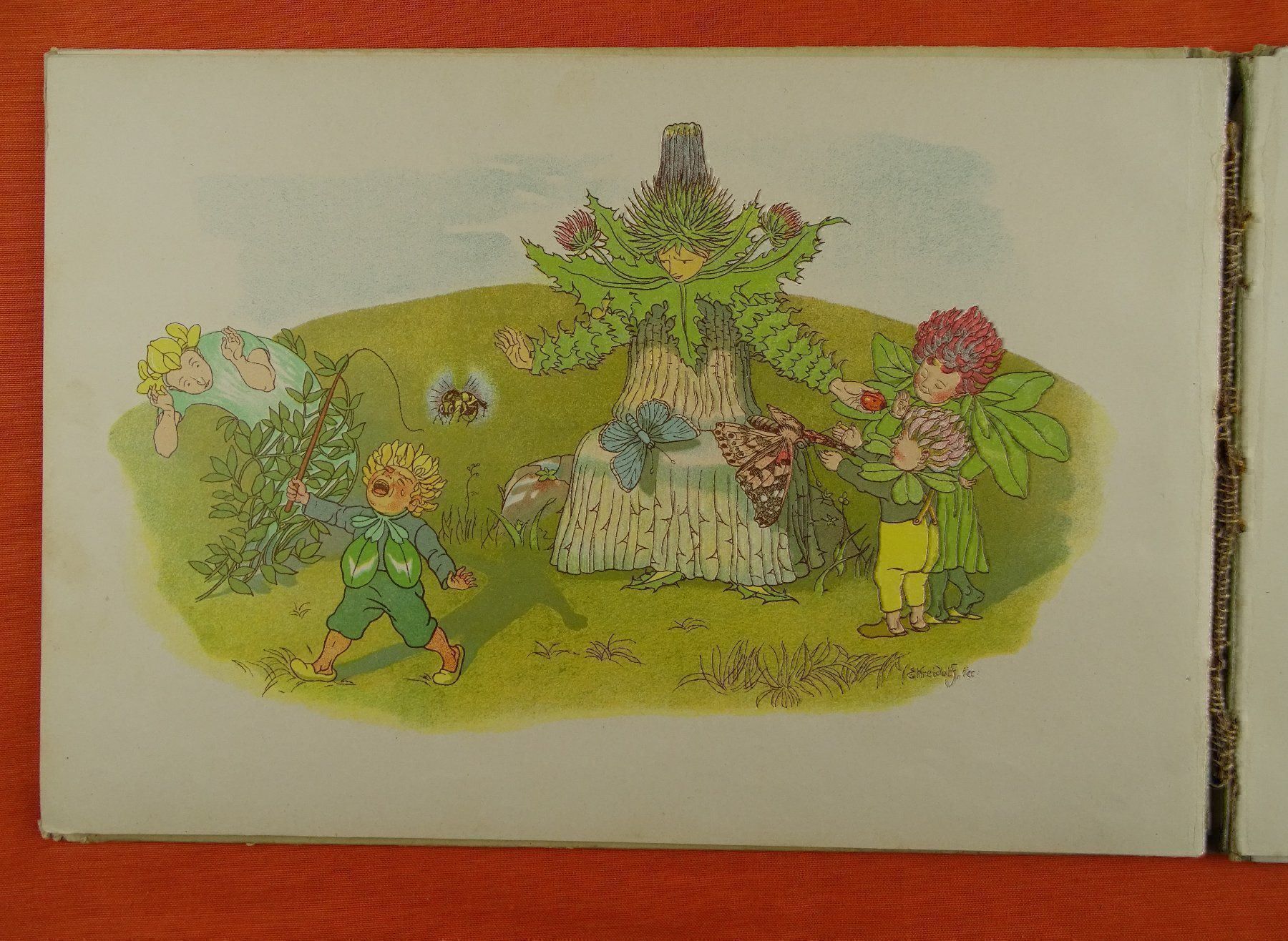 Libri: E. KREIDOLF: BLUMEN-MÄRCHEN, SCHAFFSTEIN – Usato da Grüningen venduto da Kartensammler 6