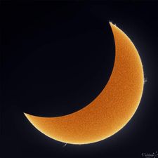 Profile image of DiogenesShackleton
