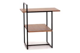 Rolf Benz Couchtisch Regal 984
