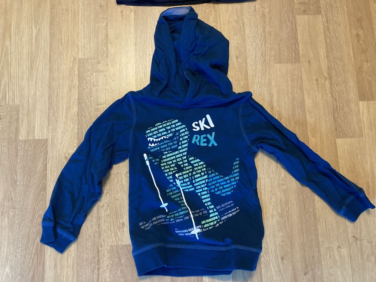 Maglioni & Felpe: Dino Langarmshirt Gr. 110 – Usato da Emmenbrücke venduto da JJ_89