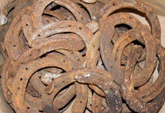 Altro in Accessori per animali: 2 HUFEISEN - VERSAND MÖGLICH – Usato da Langnau i. E. venduto da Superseven69
