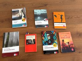 Diverse französische Bücher