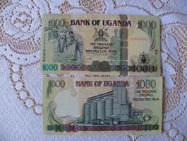 Uganda 1000 Schilling Banknote, Jahr 2009, Rarität, Unc
