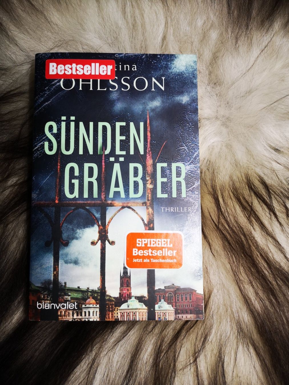 Bücher: Sünden Gräber – Gebraucht aus Biberist von zh2se