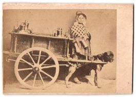 Fotografie belgische Milchhändlerin mit