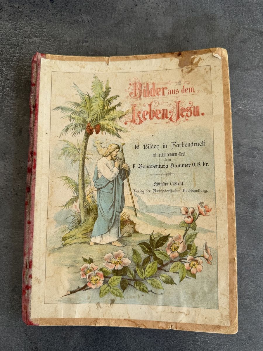 Libri: Bilder aus dem Leben Jesu 16 Farbendrucke mit Text – Usato da Seuzach venduto da kaufes8