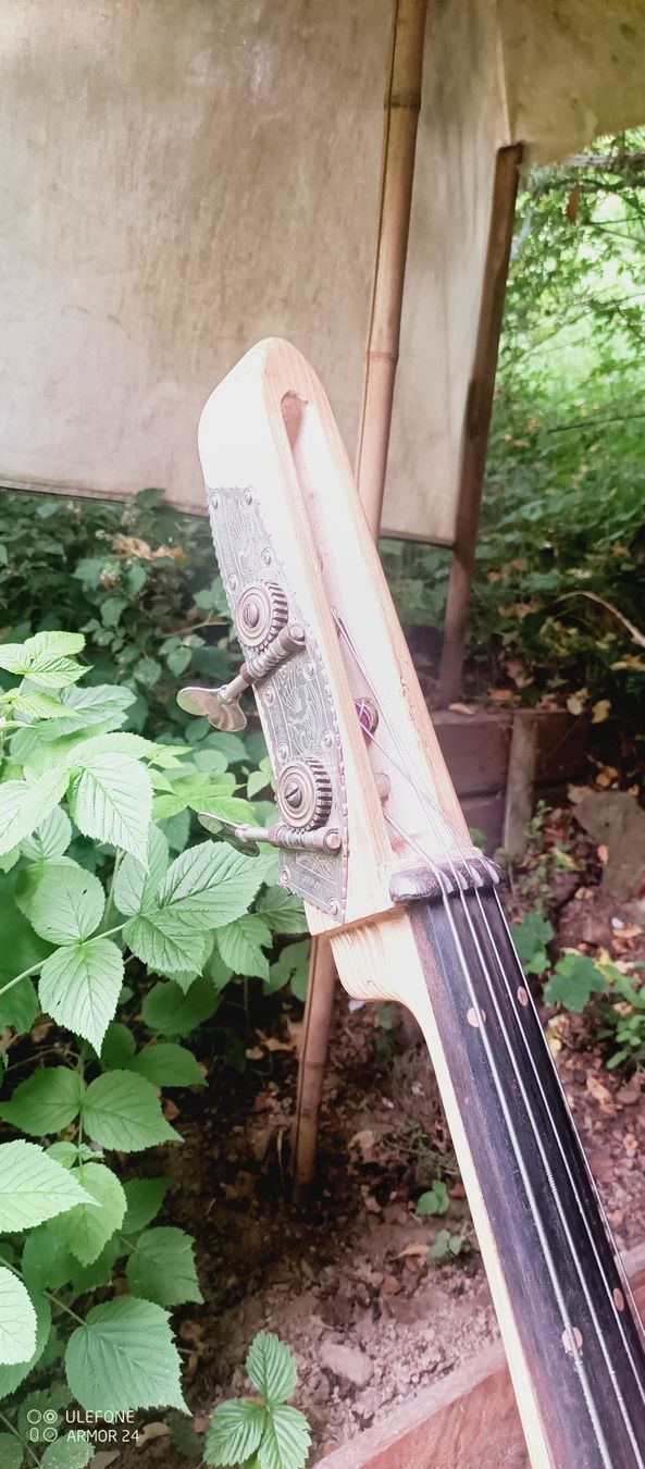 Strumenti musicali: Contrebasse artisanale – Usato da bonnefontaine venduto da sarchak 3