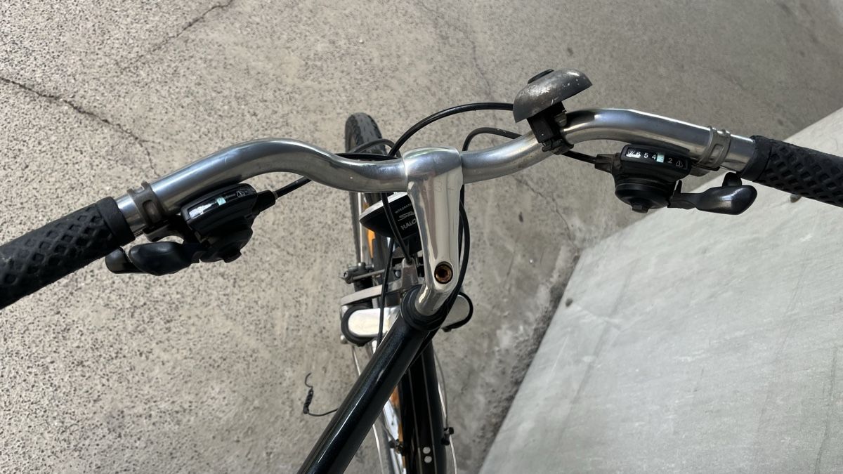 Biciclette: Fahrrad R5 bikes funlife – Usato da Liestal venduto da Tschopp77 2