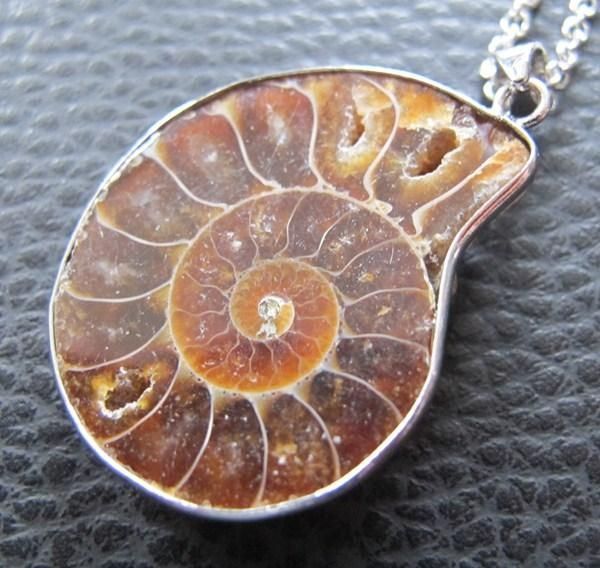 Ciondoli: Anhänger Ammonit Fossil mit Kette – Nuovo (secondo la descrizione) da Schwanden GL venduto da UHRKNALL 1