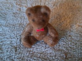 Süsser Teddy fürs Puppenhaus sucht neues Zuhause