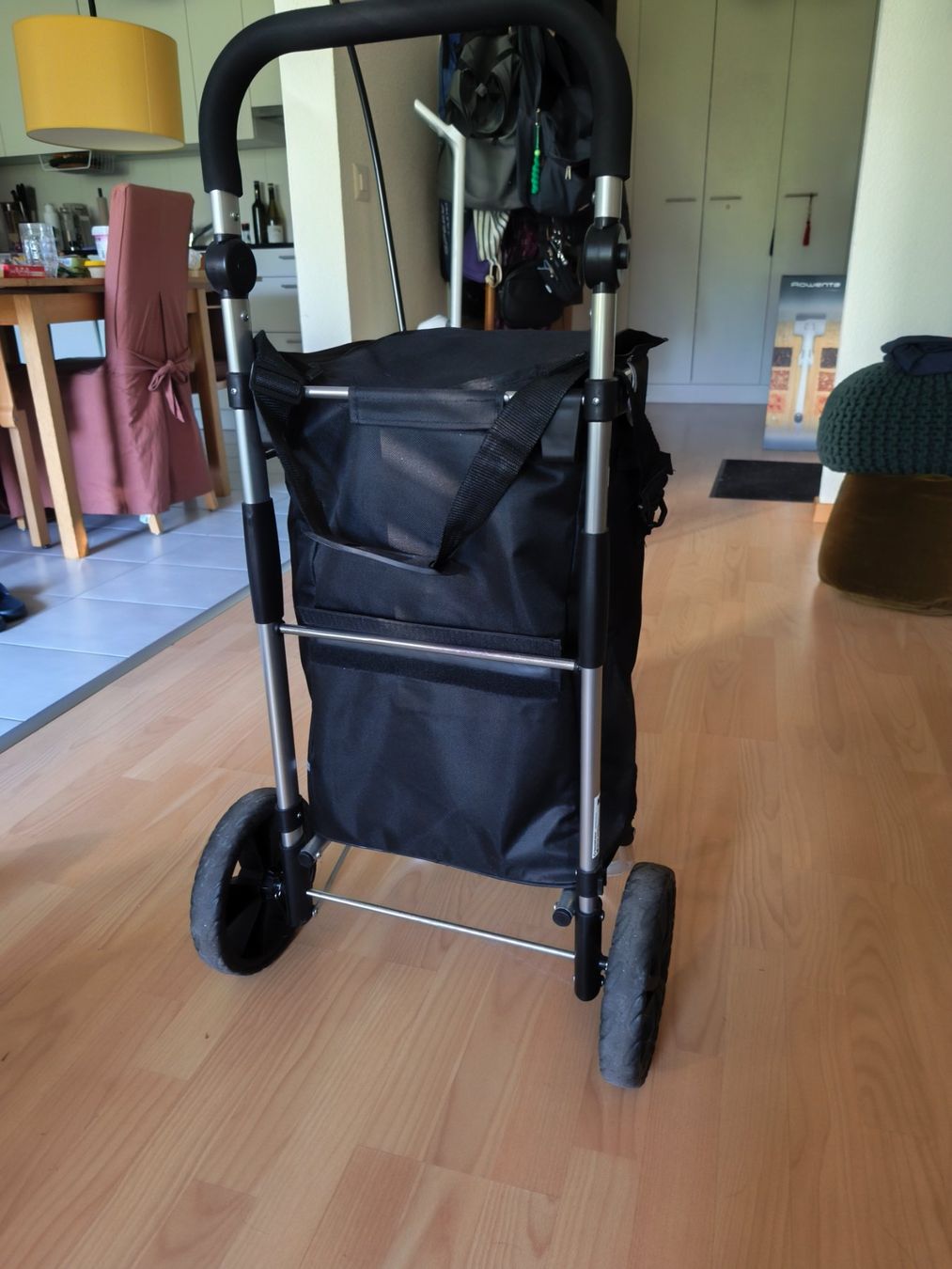 Altro per la casa: Einkaufstrolley / Einkaufswagen – Usato da Olten venduto da les_kg28 1