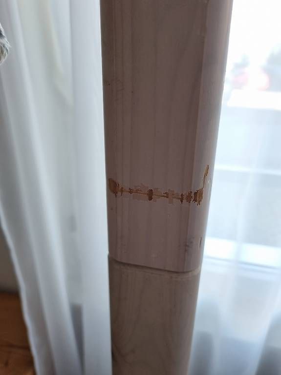 Flexa Letti: Flexa Hochbett – Usato da Rickenbach SZ venduto da Corinne44 2