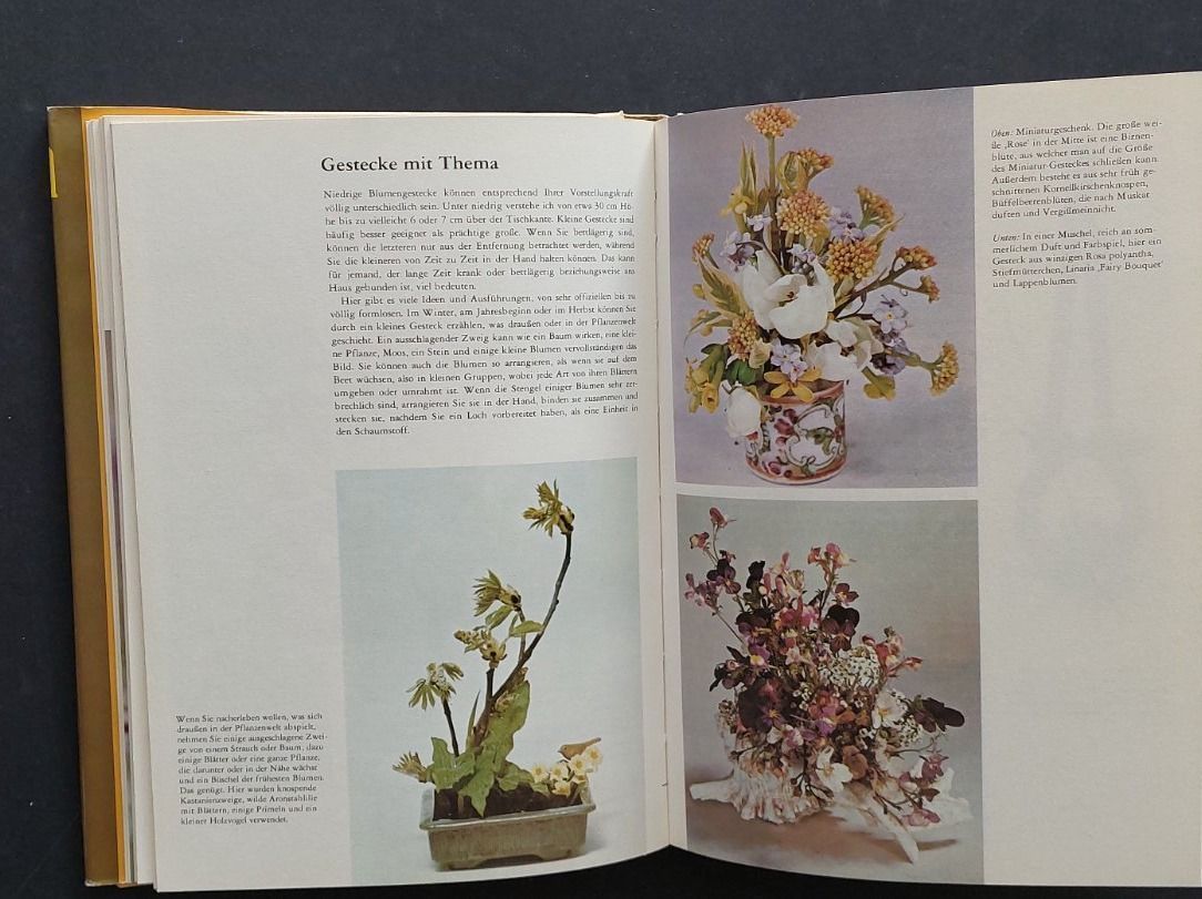 Libri: Hobby-Blumenbuch in Farbe – Usato da Zürich venduto da t24_de 5