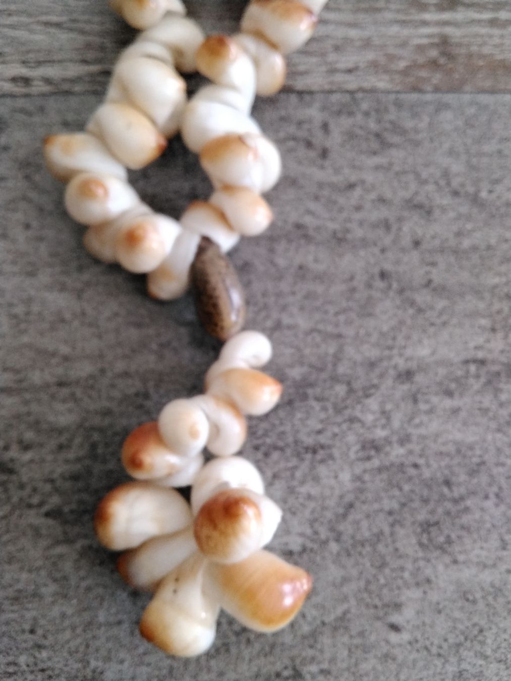 Catenine: MUSCHEL KETTE – Usato da Biel/Bienne venduto da dasi3 1