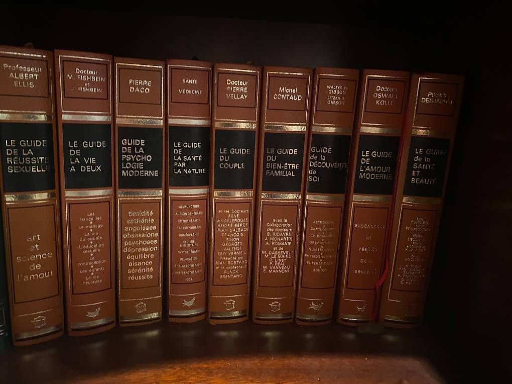 Libri: Châteaux suisses  découvertes de la suisse – Usato da Ardon venduto da Jm8 2