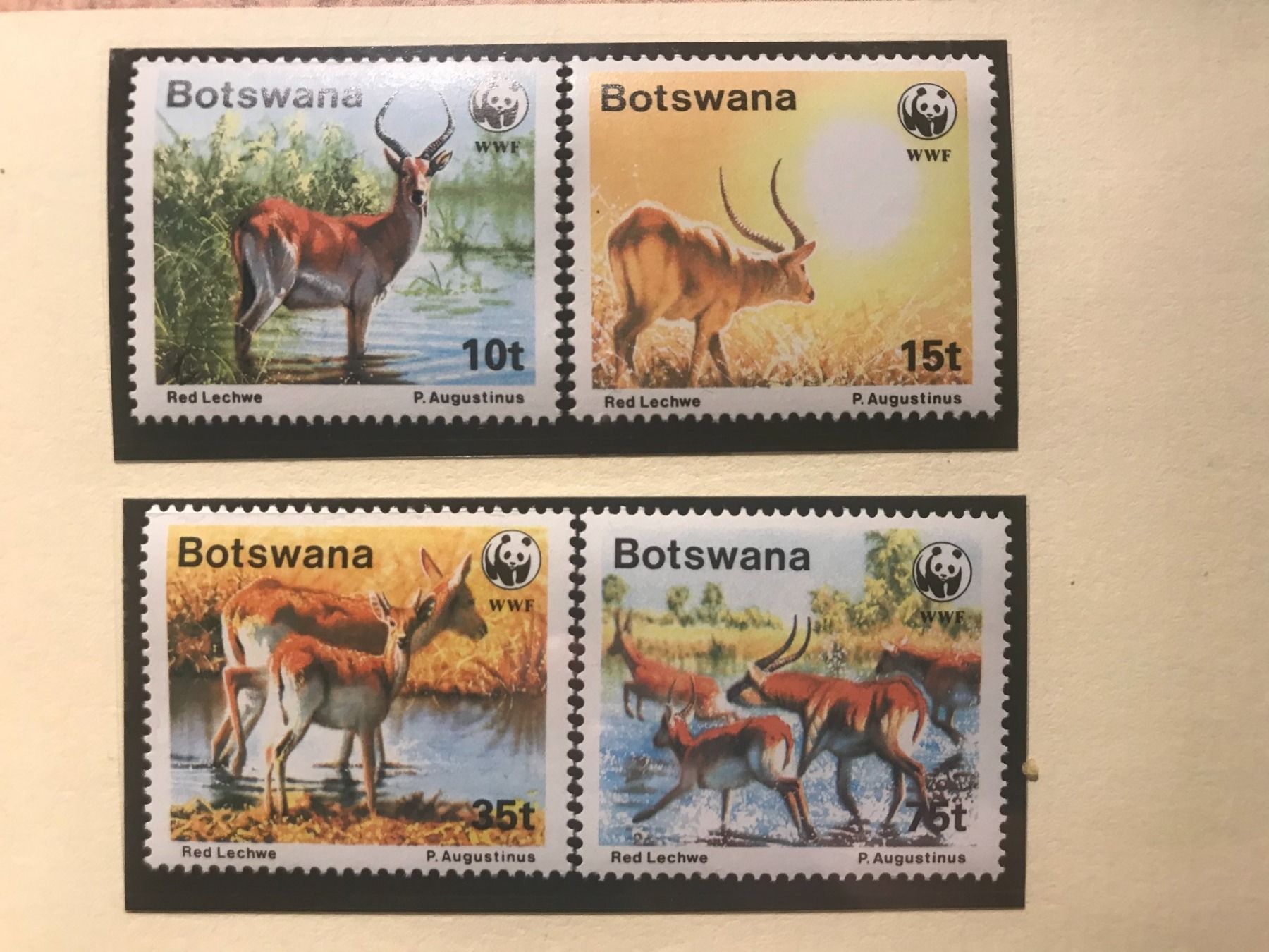 Tutti i francobolli: WWF Botswana 1988 Roter Litschi Satz postfrisch – Nuovo (secondo la descrizione) da Liestal venduto da schnueps