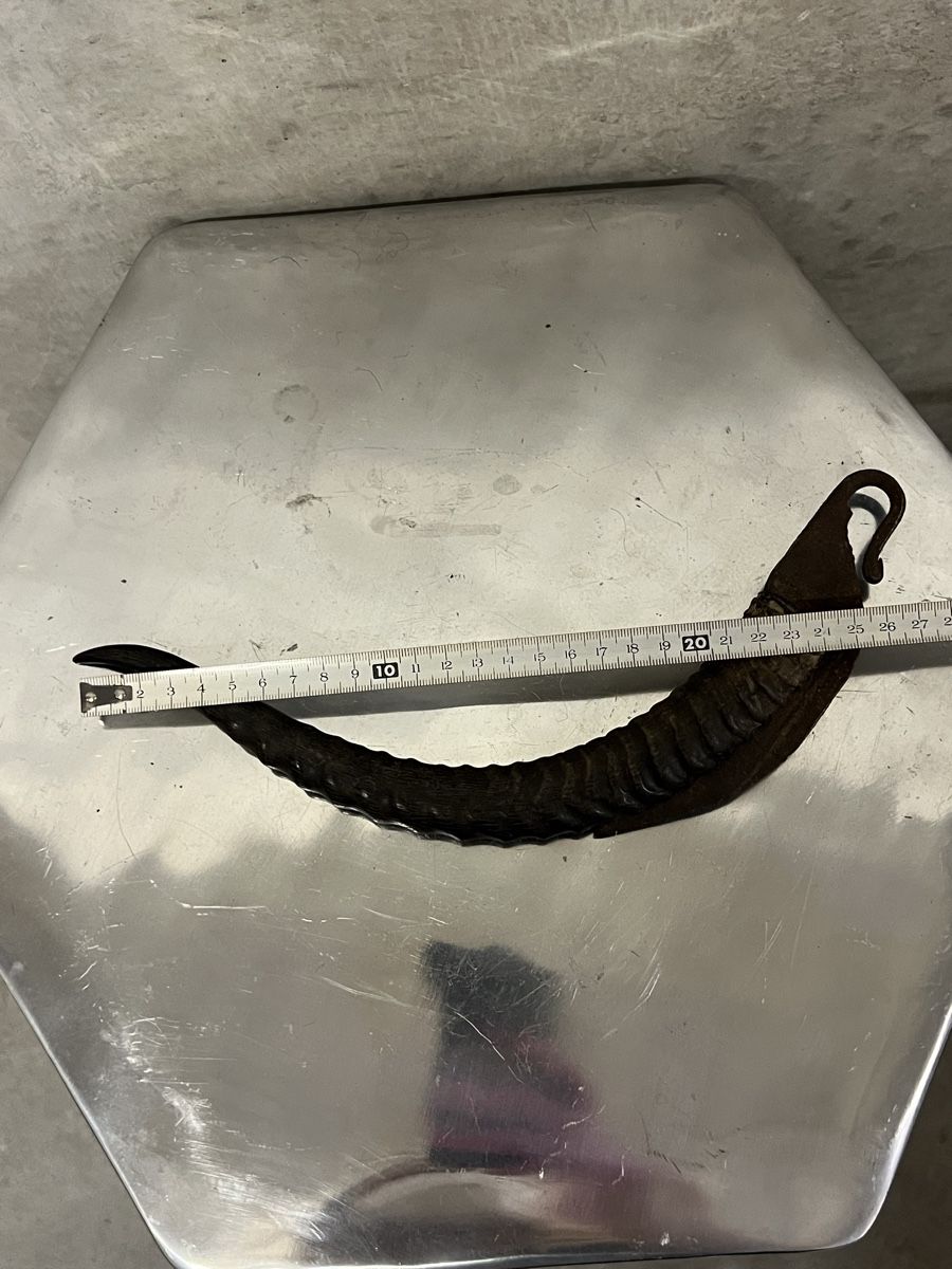Accessori: Altes Jagdmesser mit Horn Griff ca 25cm"}," – Usato da Zürich venduto da Privat_13 4