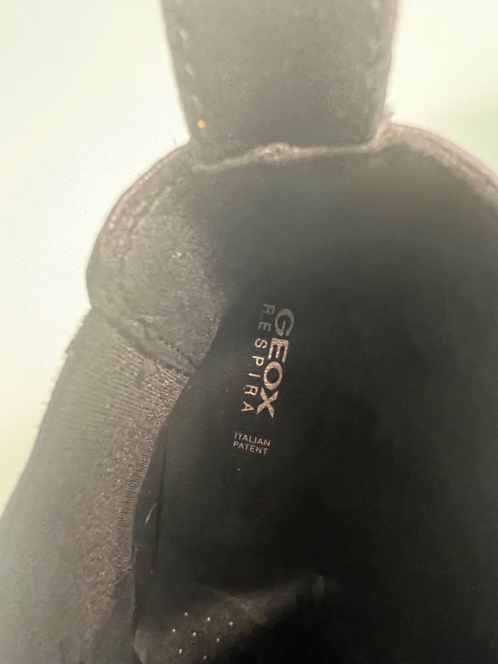 Geox Scarpe da donna: Stiefelette Geox / Gr. 40 – Usato da Frauenfeld venduto da stern081 6