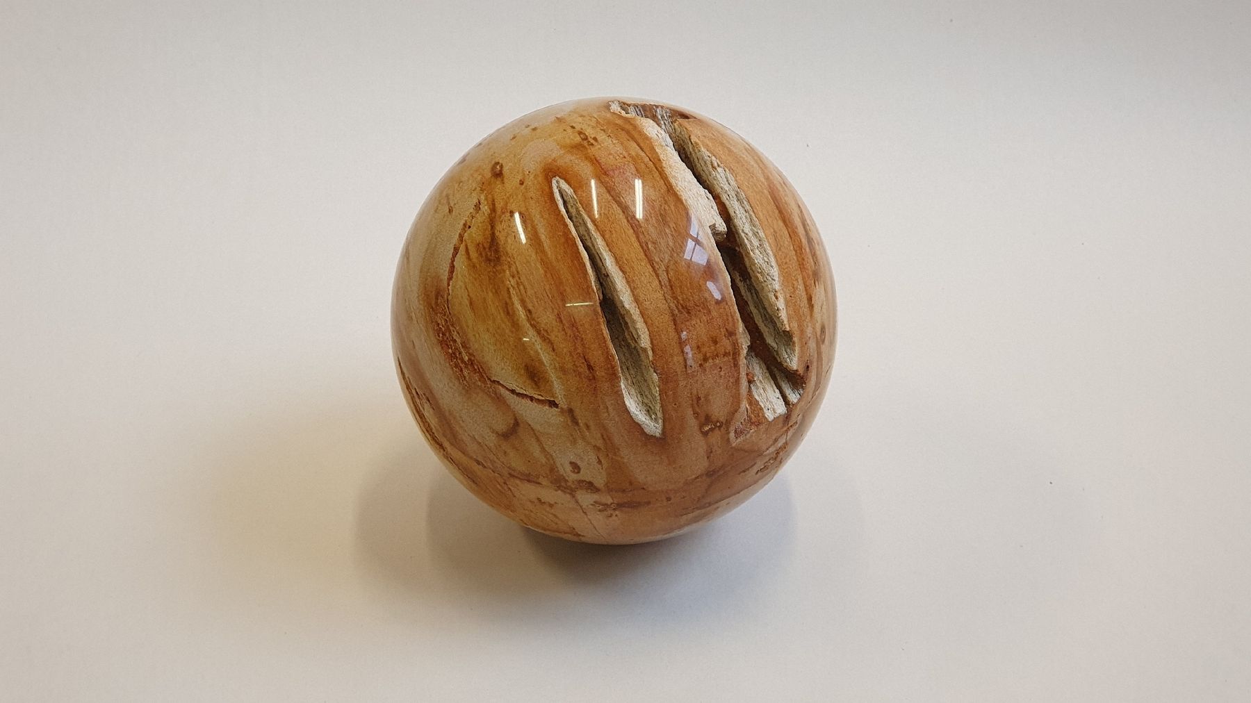 Mineralien & Heilsteine: Versteinertes Holz, polierte Kugel 140 mm – Neu (gemäss Beschreibung) aus Dürnten von stefanverkauft 3