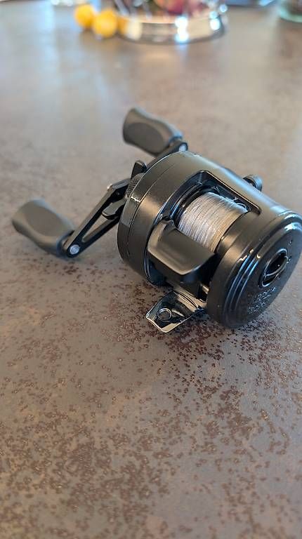 Rollen & Spulen: Reply Badger 20B Baitcast-Rolle – Gebraucht aus Rebstein von buf_l9v9