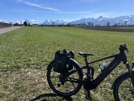 Allegro Alltraill UX Purple Lust E-Bike M 42cm neuwertig