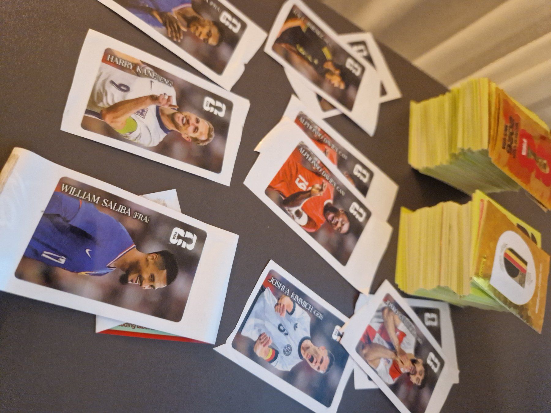Panini Carte collezionabili: Verkaufe 450 Panini-Sticker WM2026 – Usato da Trimmis venduto da fla_pl5x 2