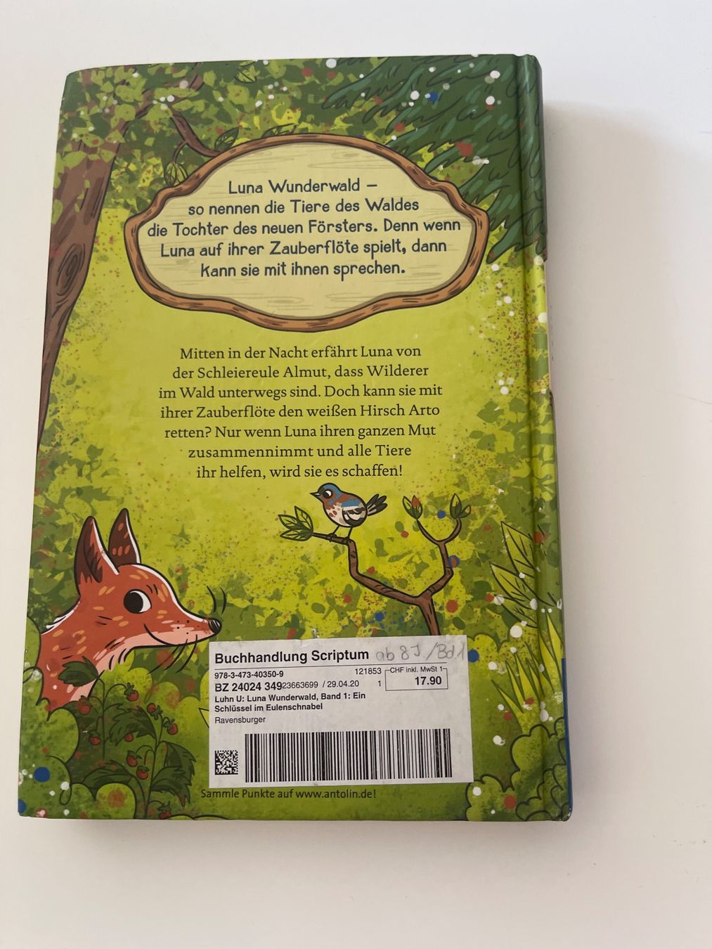 Bücher: Buch Luna Wunderwald: Ein Schlüssel im Eulenschnabel – Gebraucht aus Dietikon von Freestyla 1