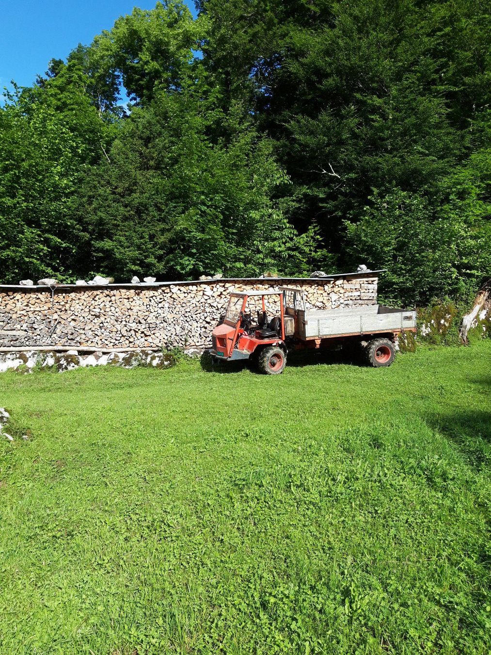 Articoli in legno: Brennholz/Chemineholz – Nuovo (secondo la descrizione) da Rickenbach SZ venduto da Froni77 2