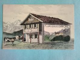 SG Flums Schloss Gräplang Werbekarte