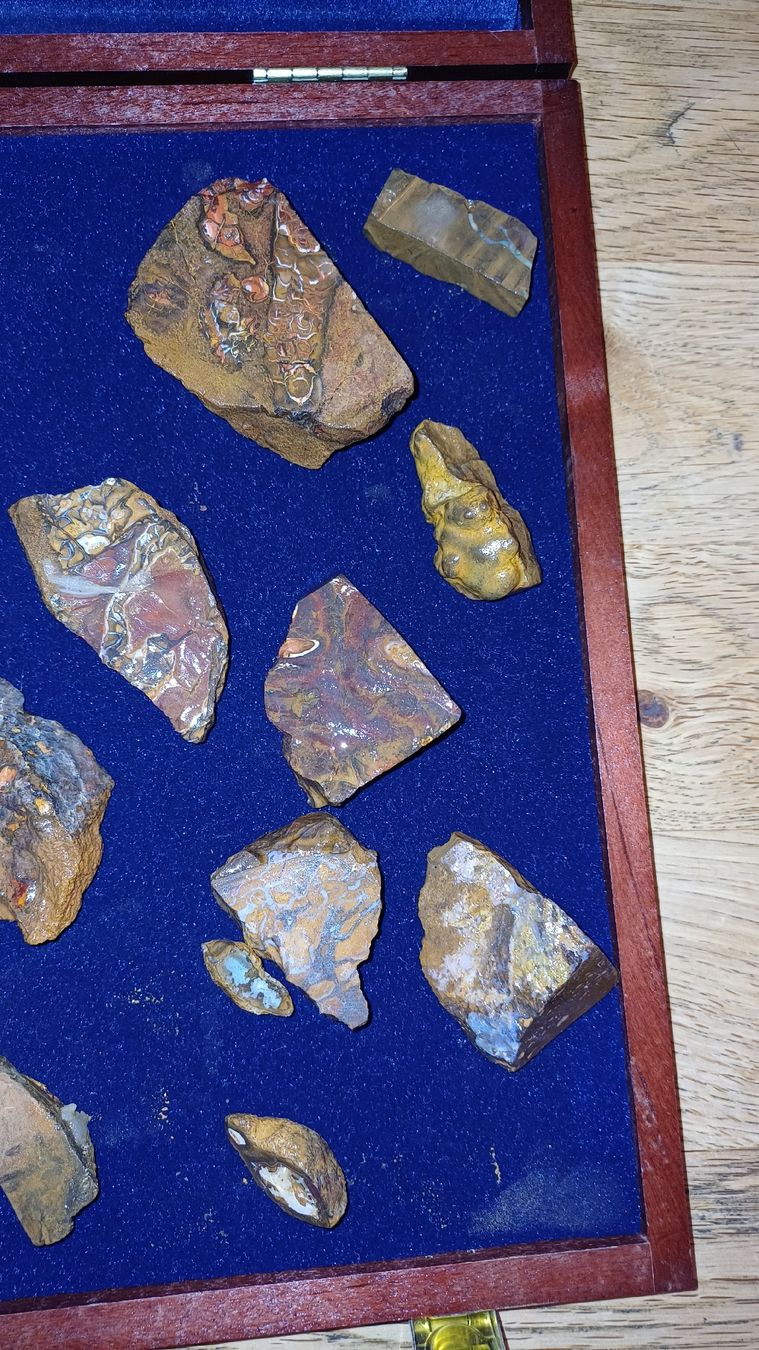 Pietre preziose: Bolder Opale 410 Gramm – Usato da Flawil venduto da Naphtali 4