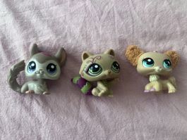 x3 Littlest Pet Shop (2388 + 1354 + 2514)