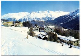 ST. MORITZ Randolins