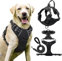 NEU! Geschirr + Leine / Hund G. L (2/2) Labrador, Dalmatiner