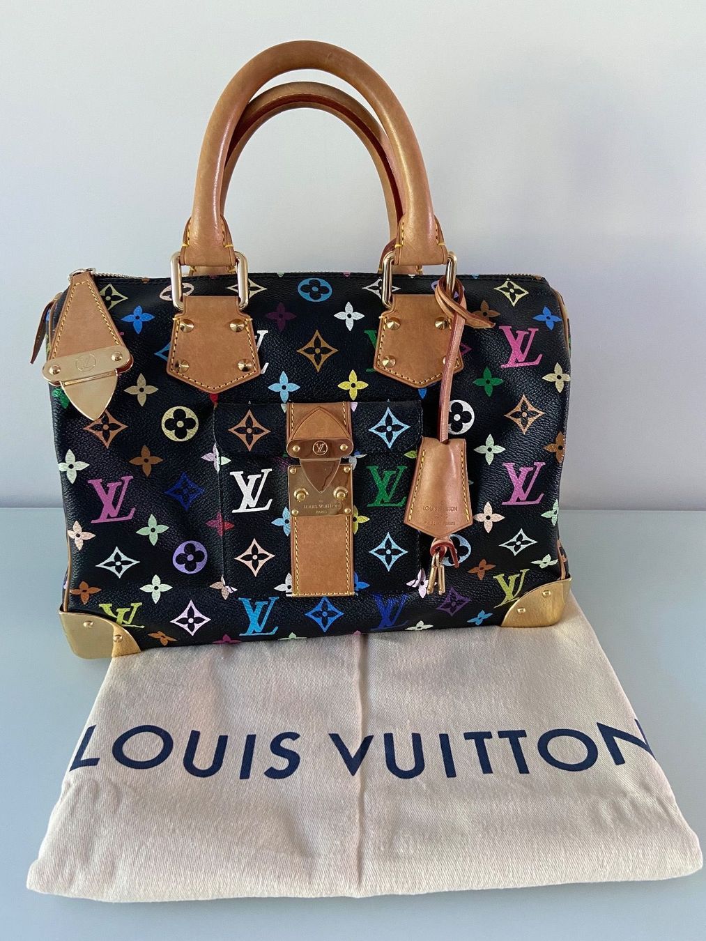 Louis Vuitton Borse da donna: Louis Vuitton Speedy Multicolore – Usato da Altendorf venduto da CyRoBi