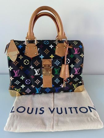Louis Vuitton Speedy Multicolore