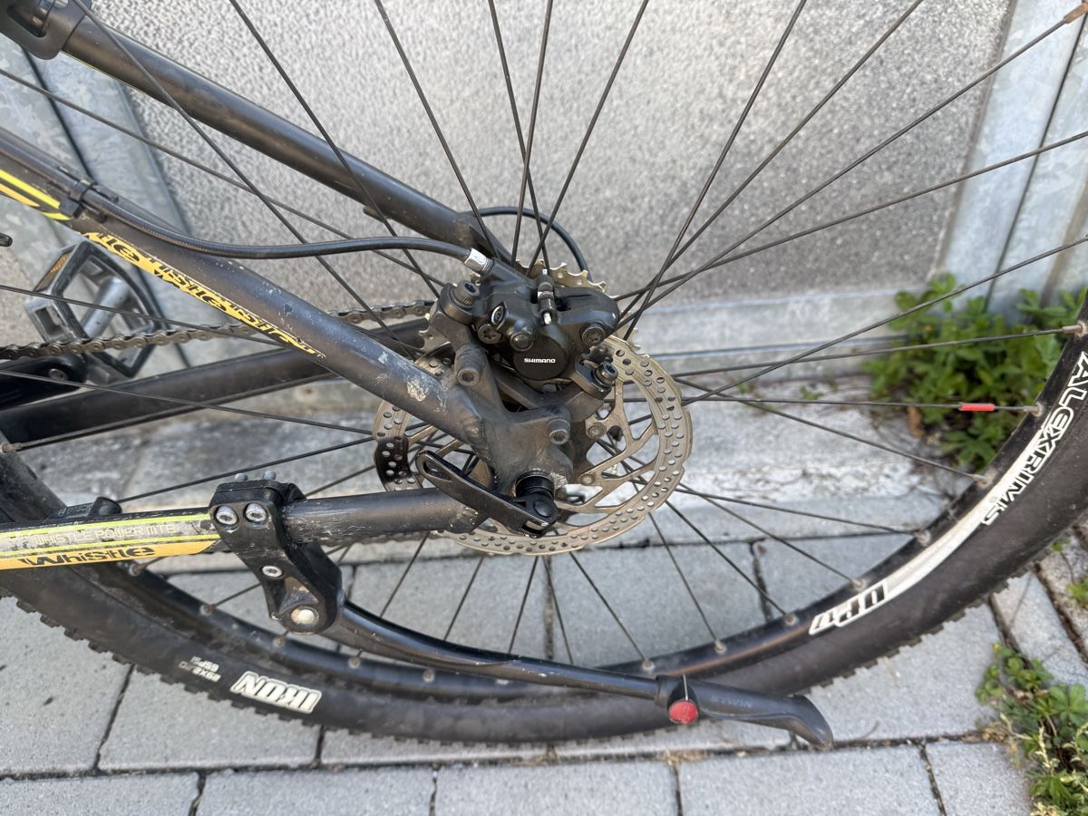 Bosch Biciclette: Whistle E-Bike mit Bosch Motor  – Usato da Oberentfelden venduto da speed_71 4