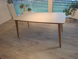 Esstisch 80x160cm /Holz Lichtgrau