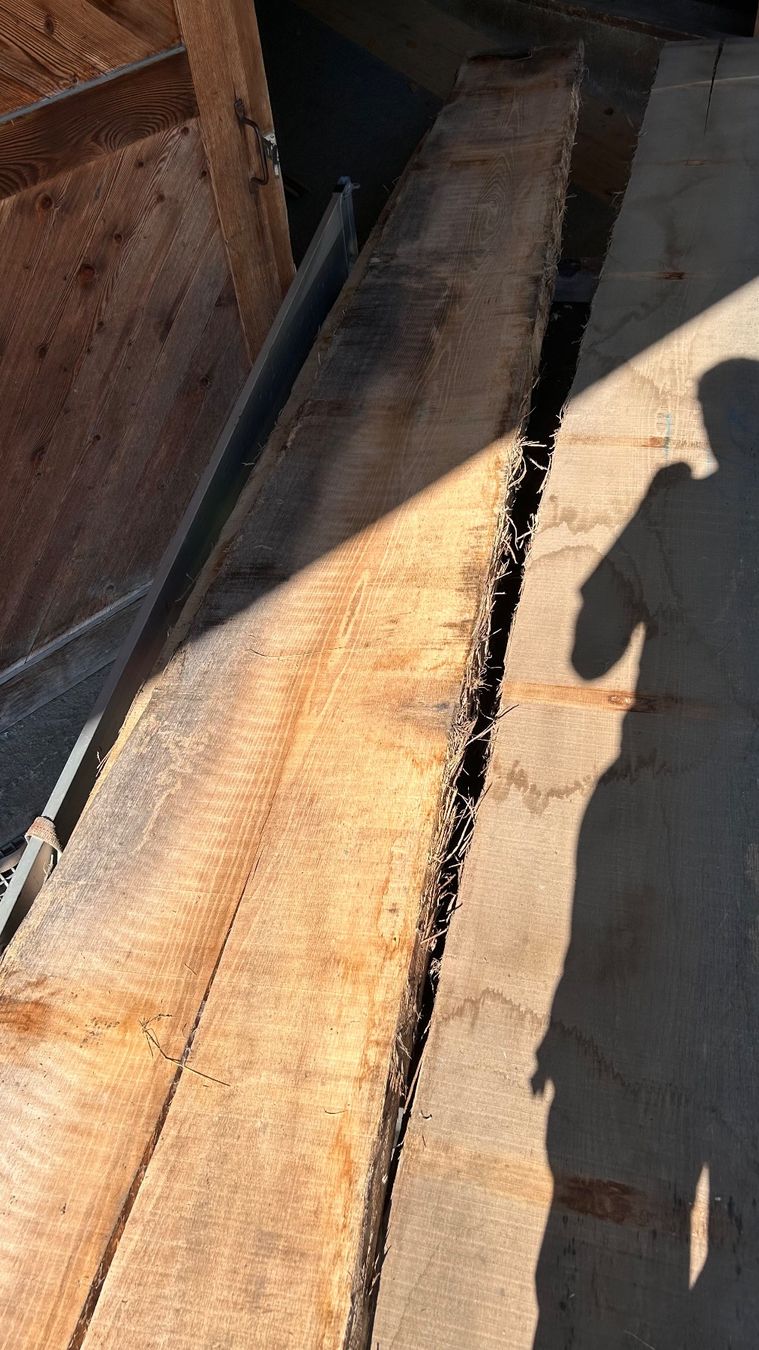 Articoli in legno: Eiche Klotzbrett 70mm Eichenholz Brett Stamm – Usato da Reichenbach i. K. venduto da Arve70 4