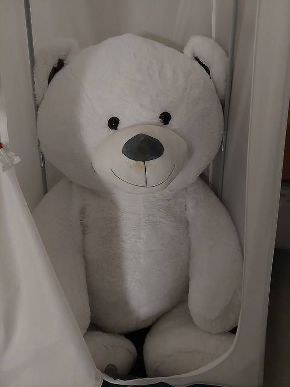 Spielzeuge: XXXL Teddybär (ca. 150cm) – Gebraucht aus Solothurn von maevren 1